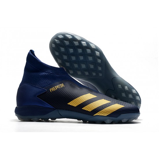 gold blue predators